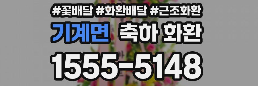기계면 축하 화환