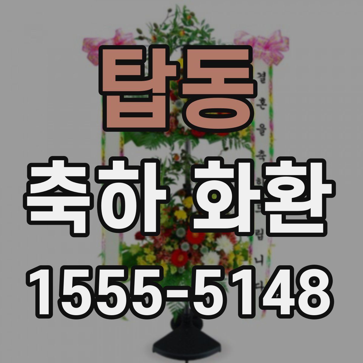 탑동 축하 화환
