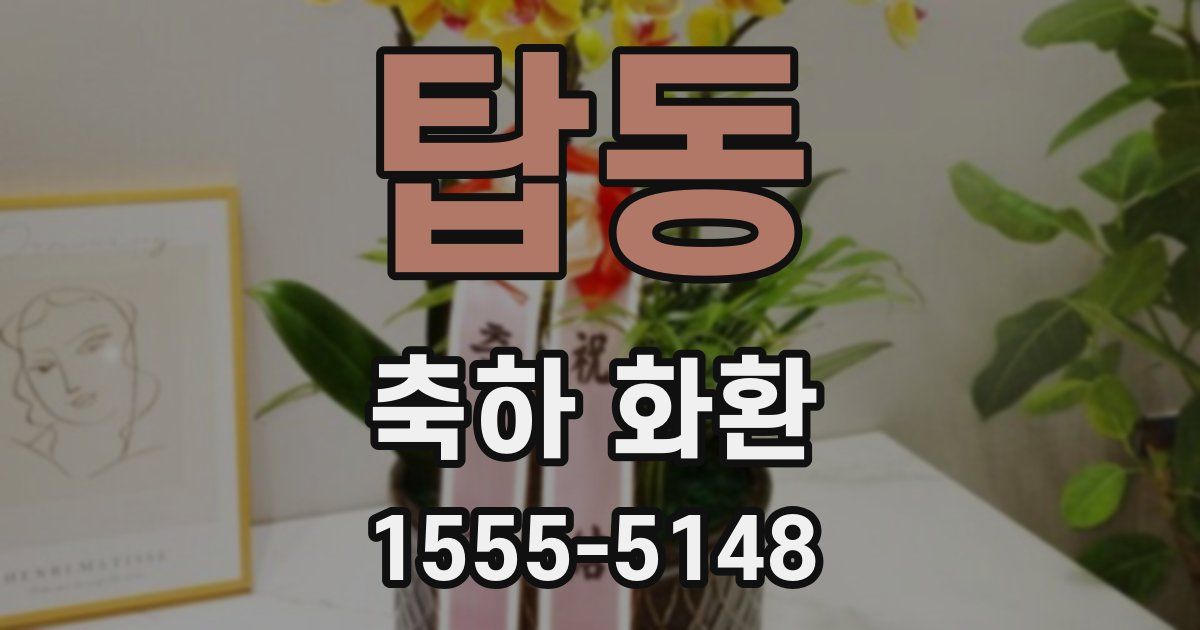 탑동 축하 화환