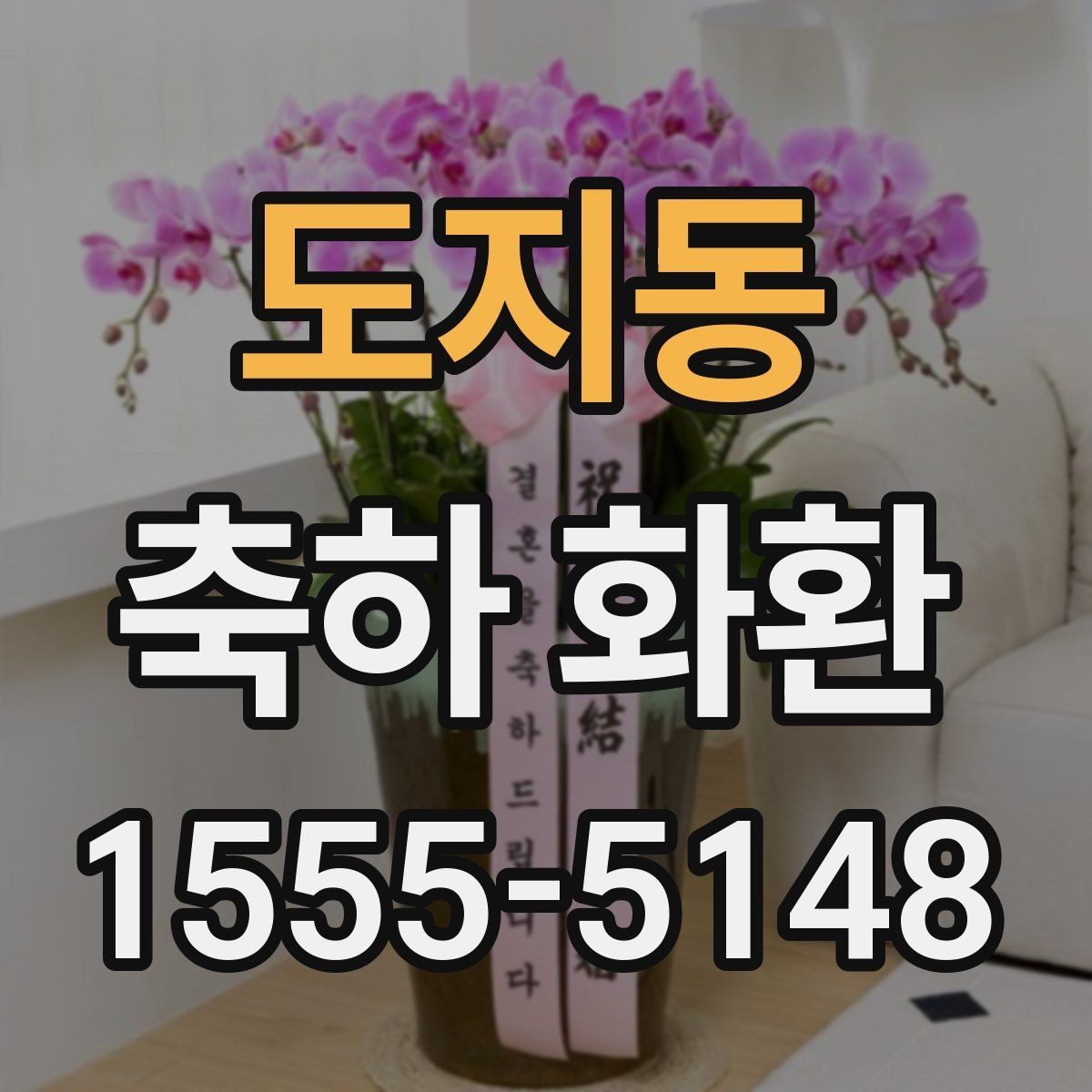 도지동 축하 화환 선택 시 지역별 배송 확인