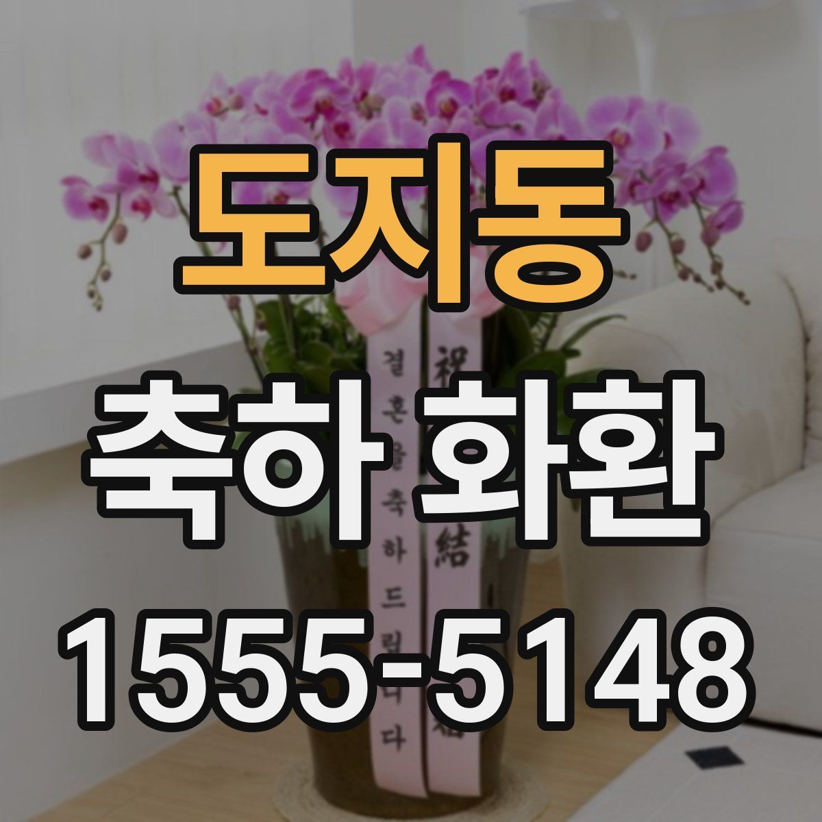 도지동 축하 화환