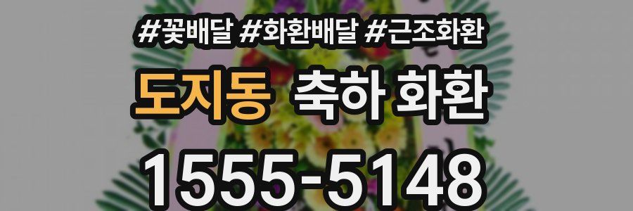도지동 축하 화환