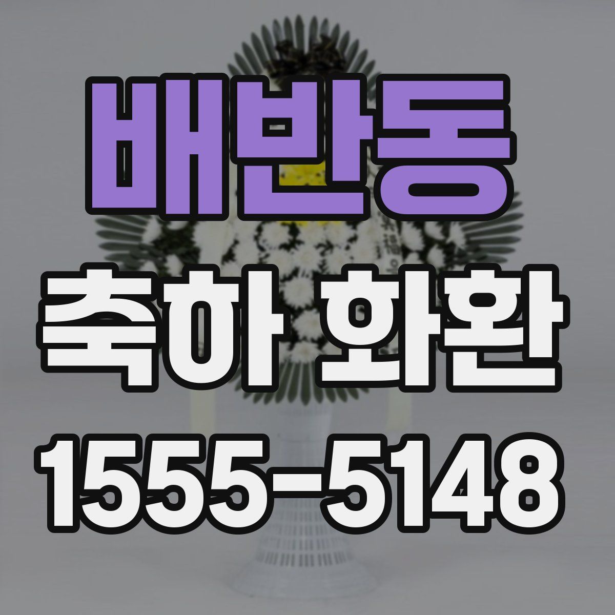 배반동 축하 화환