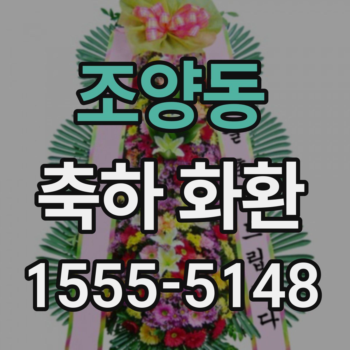 조양동 축하 화환