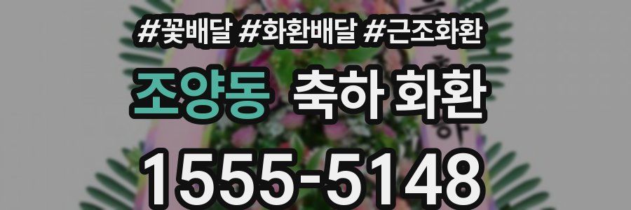 조양동 축하 화환