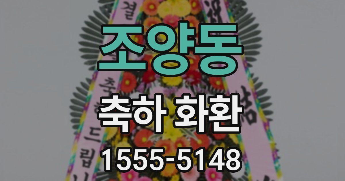 조양동 축하 화환