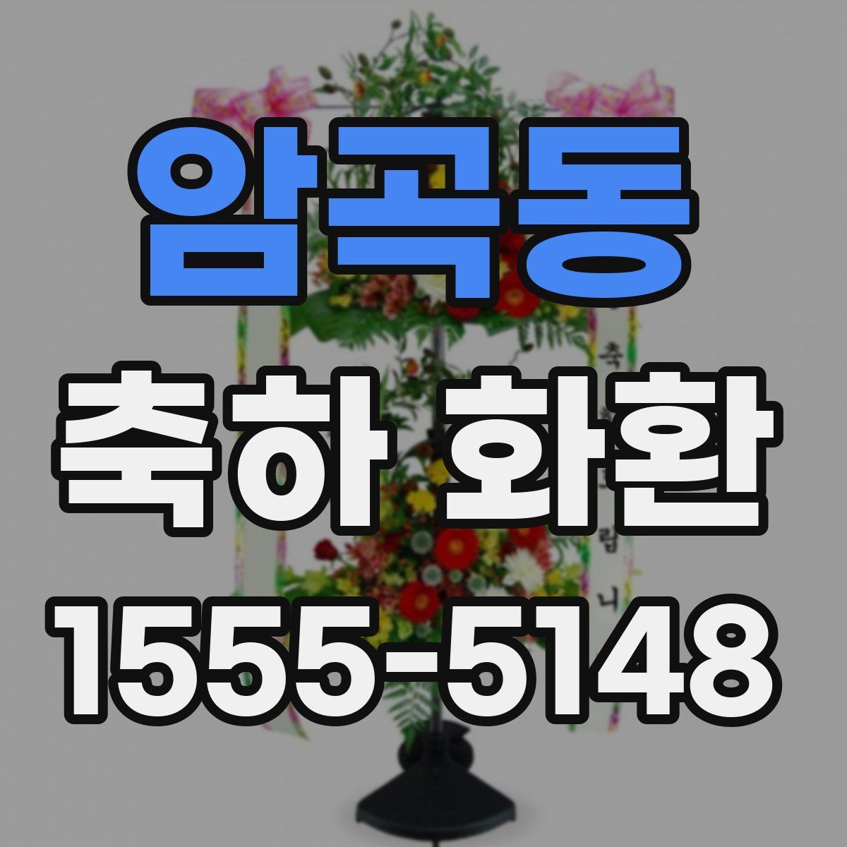 암곡동 축하 화환