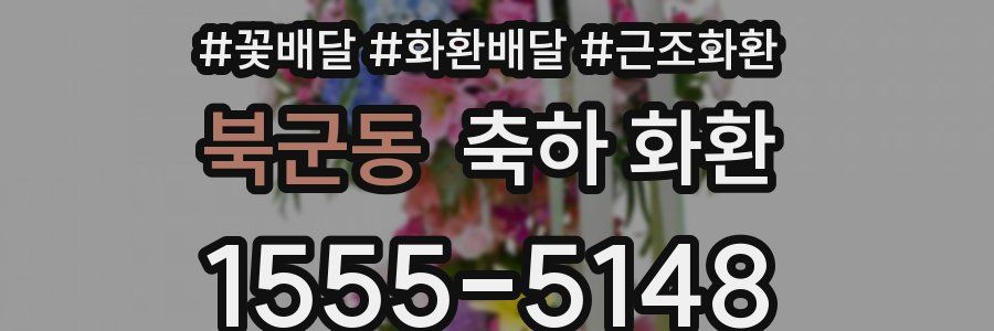 북군동 축하 화환