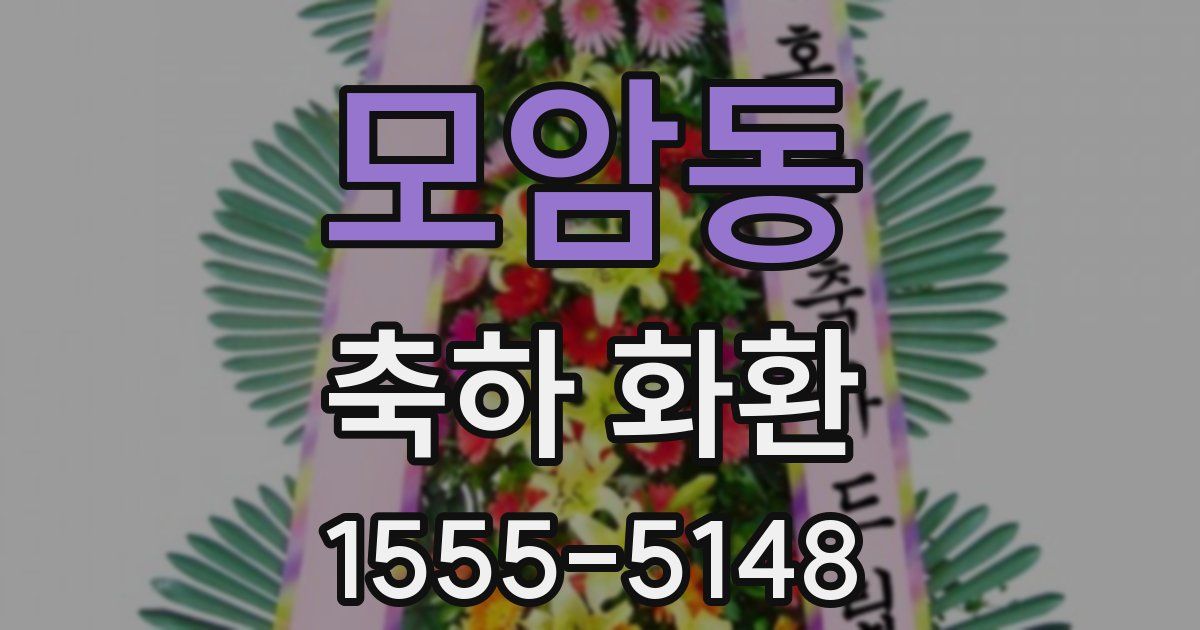 모암동 축하 화환