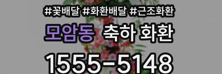 모암동 축하 화환
