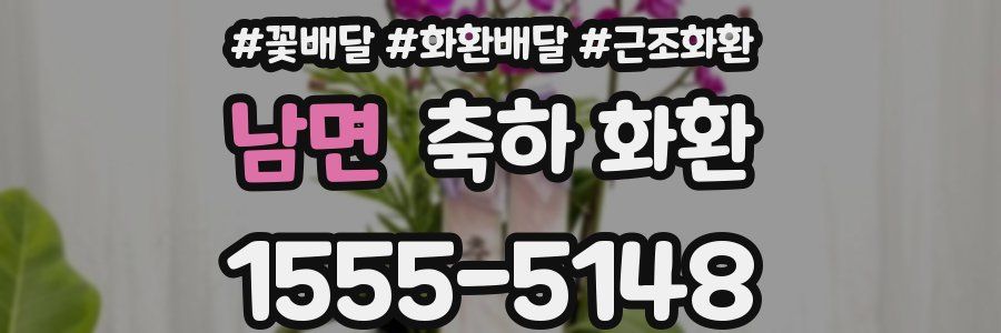 남면 축하 화환