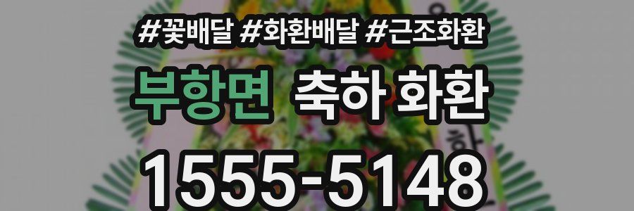 부항면 축하 화환