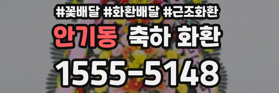 안기동 축하 화환