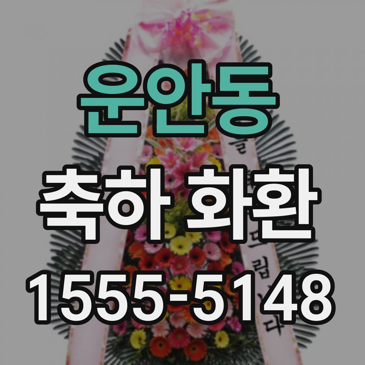 운안동 축하 화환
