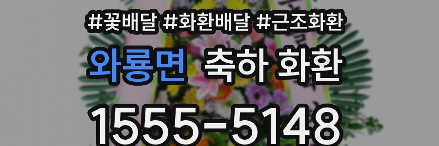 와룡면 축하 화환