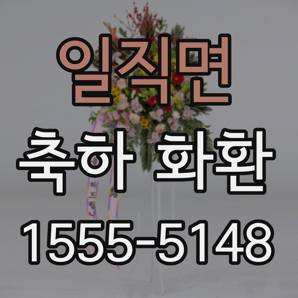 일직면 축하 화환