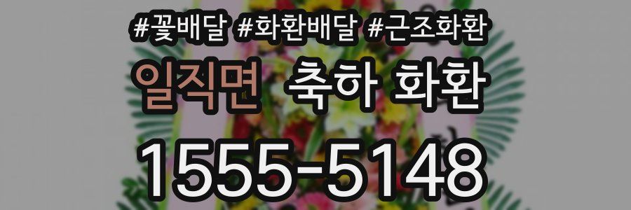 일직면 축하 화환
