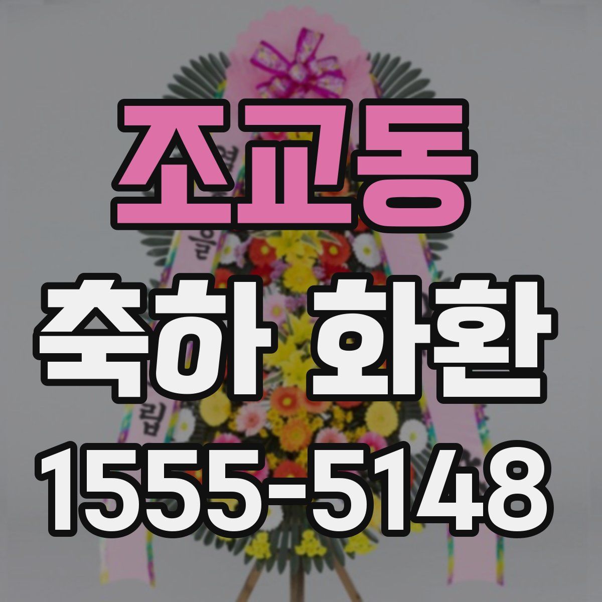 조교동 축하 화환