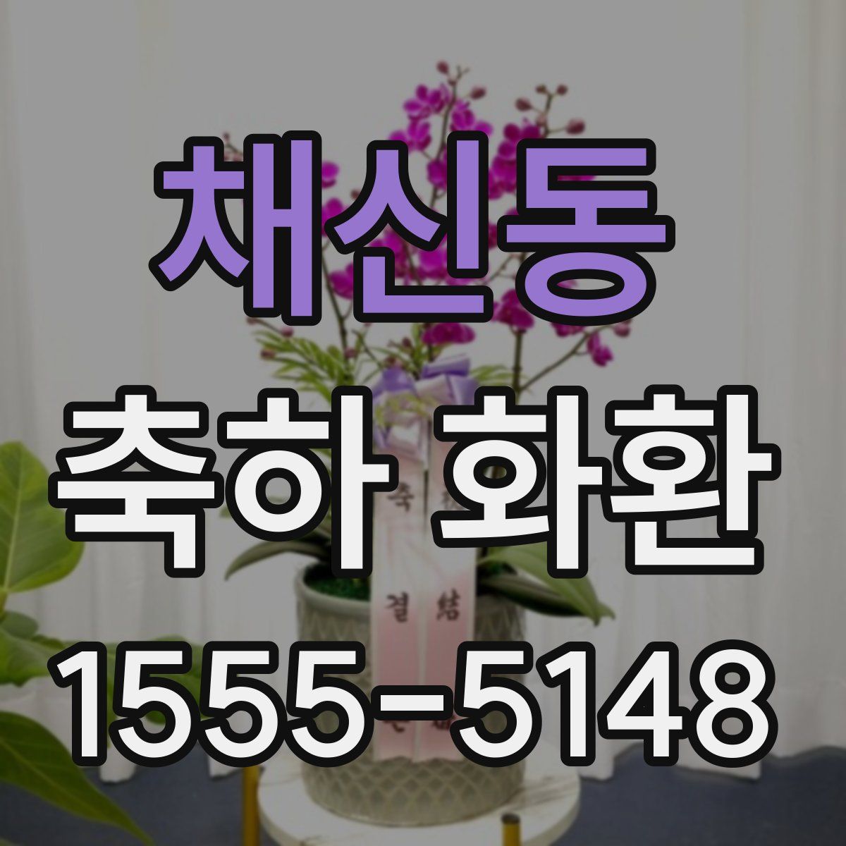 채신동 축하 화환