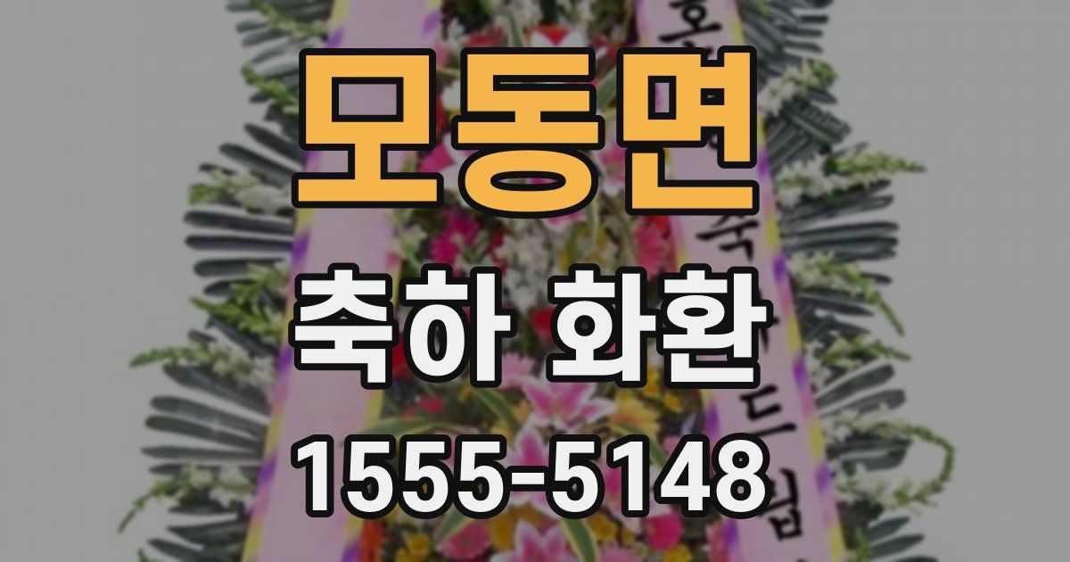 모동면 축하 화환