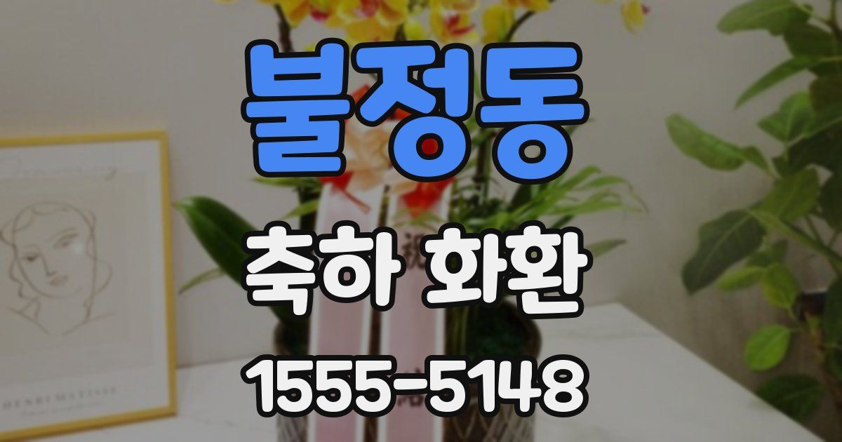 불정동 축하 화환