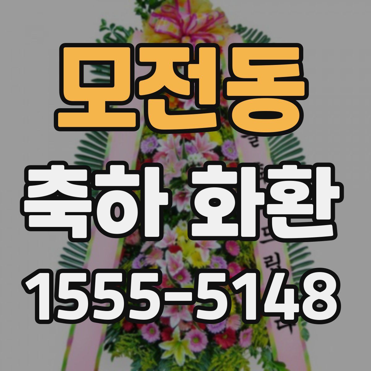 모전동 축하 화환