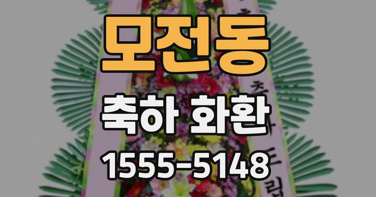 모전동 축하 화환