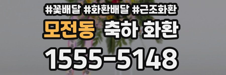 모전동 축하 화환