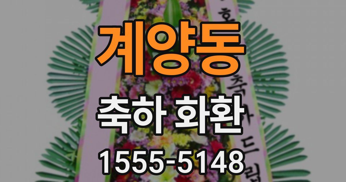 계양동 축하 화환