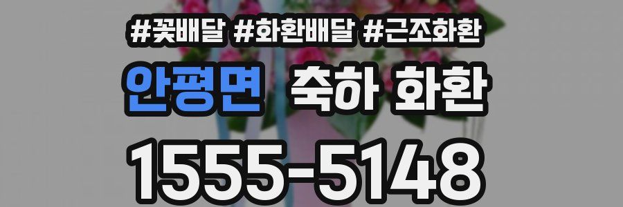 안평면 축하 화환