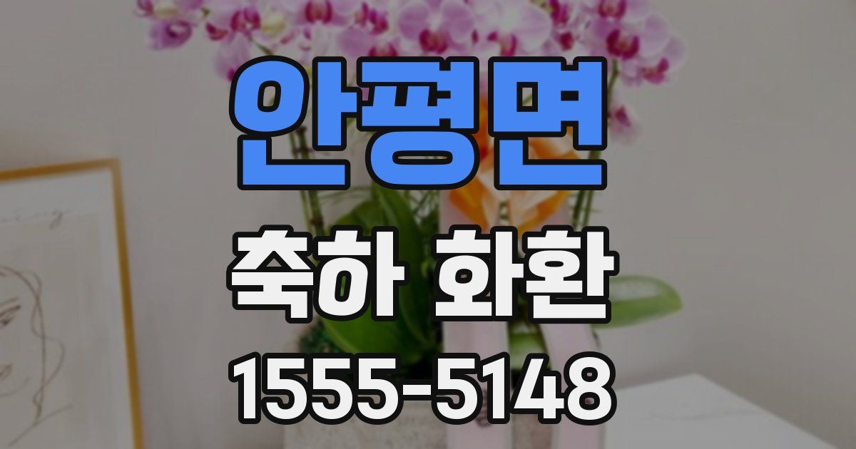 안평면 축하 화환