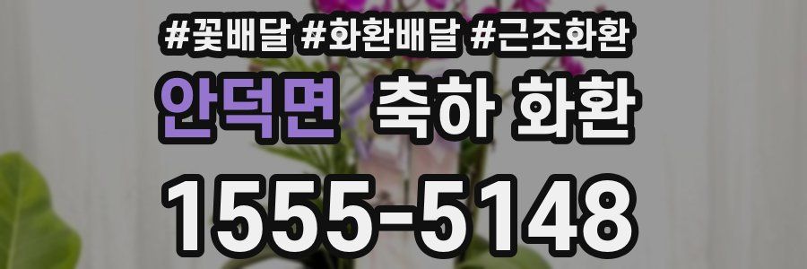 안덕면 축하 화환