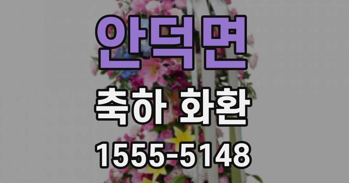 안덕면 축하 화환