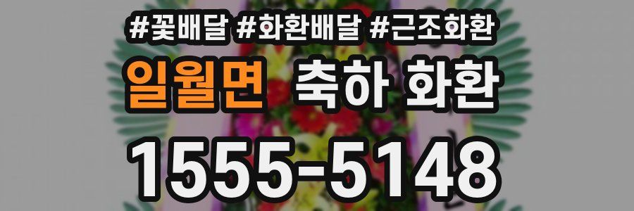일월면 축하 화환