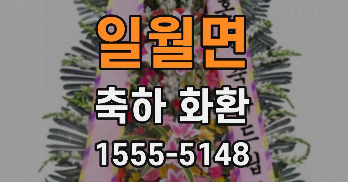 일월면 축하 화환