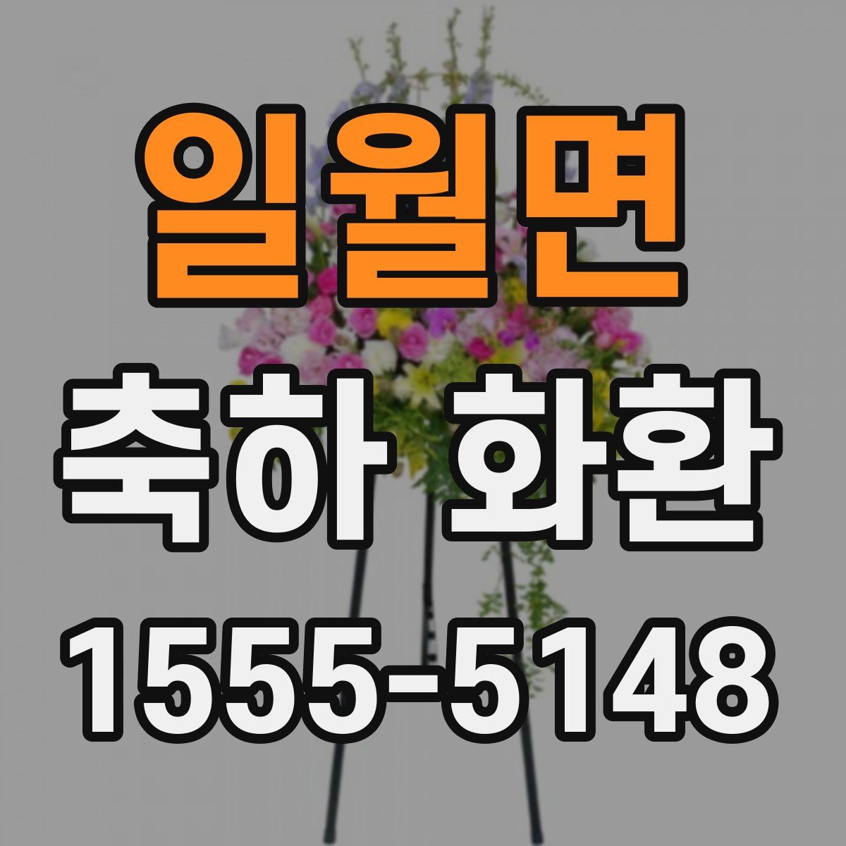 일월면 축하 화환