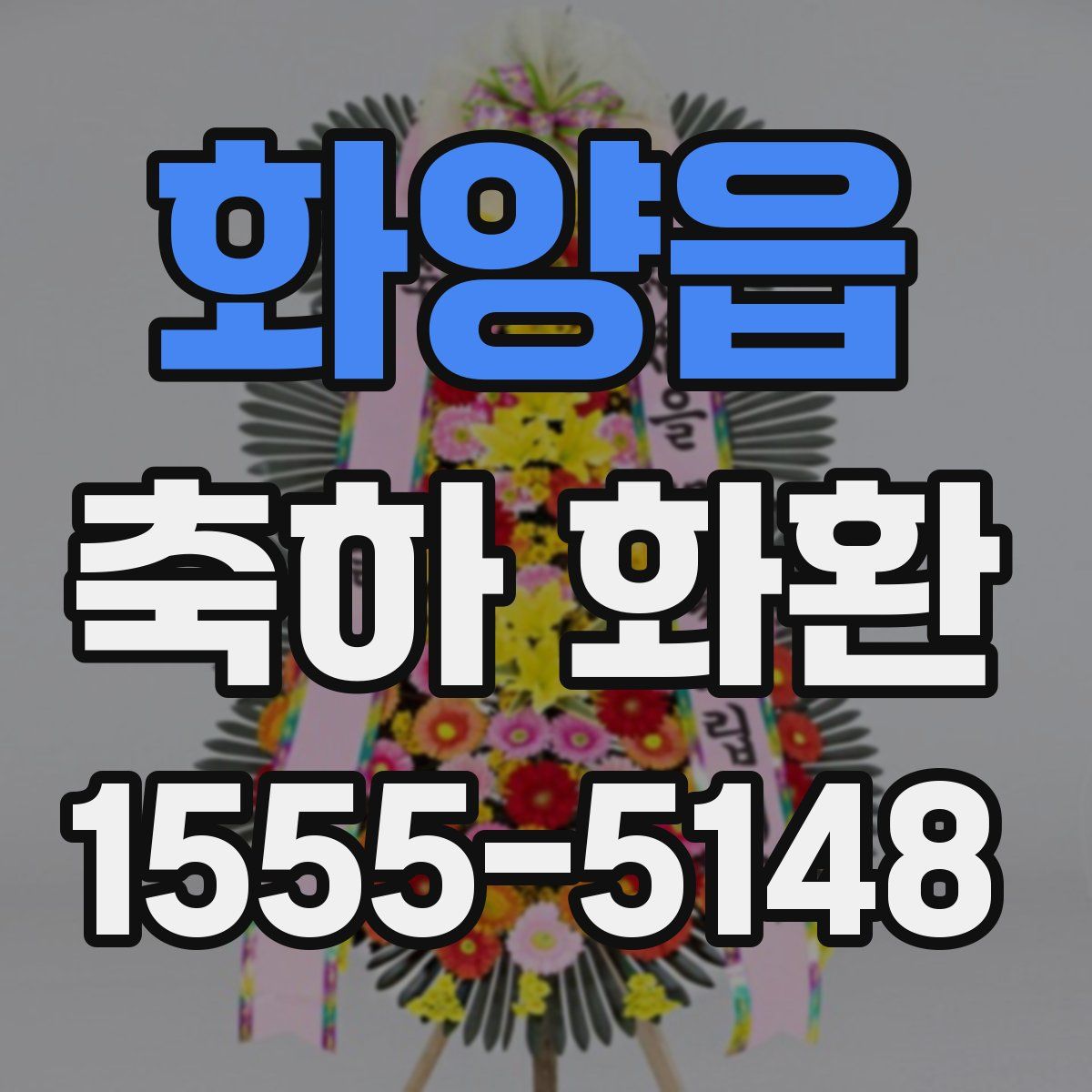 화양읍 축하 화환