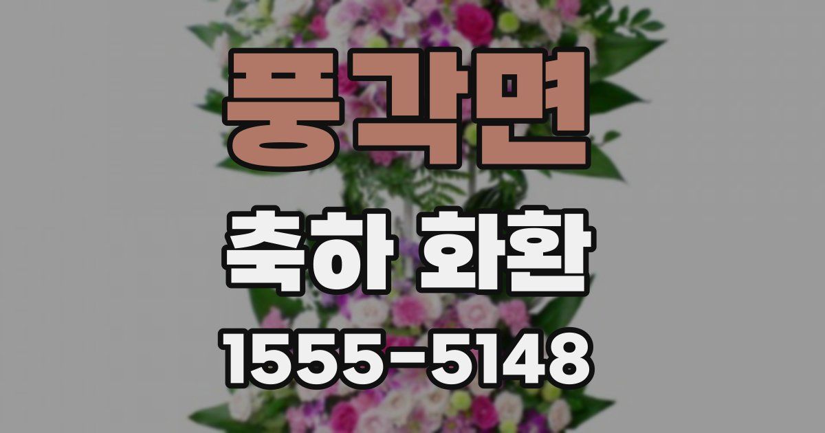 풍각면 축하 화환