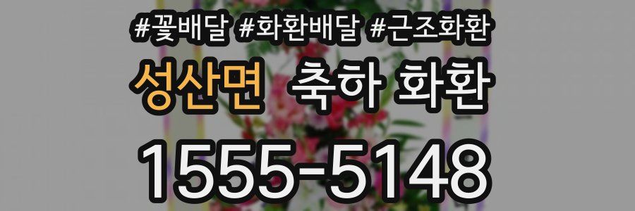 성산면 축하 화환
