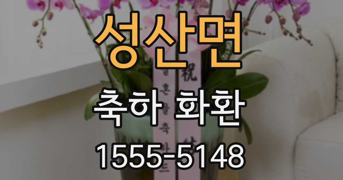 성산면 축하 화환