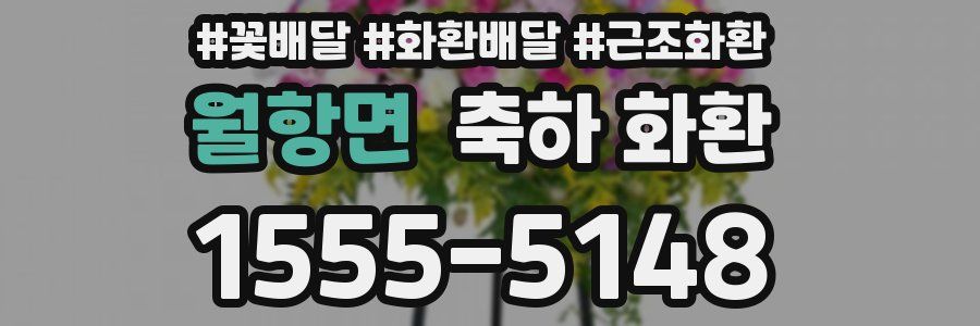 월항면 축하 화환