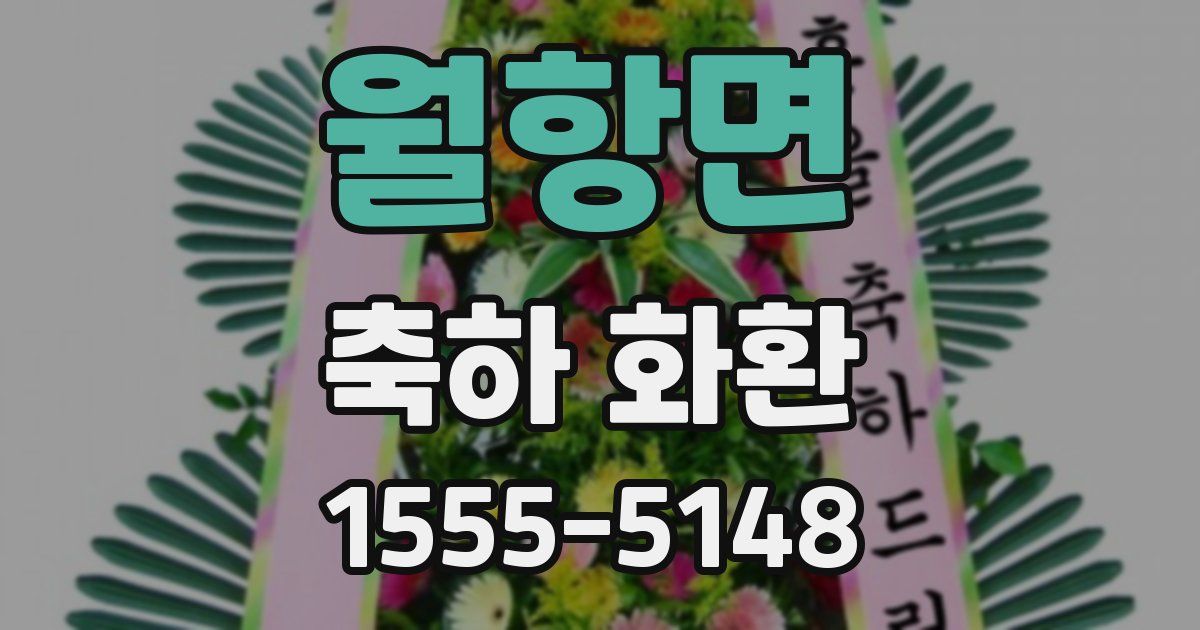 월항면 축하 화환