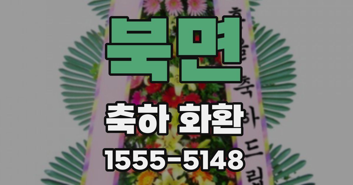 북면 축하 화환