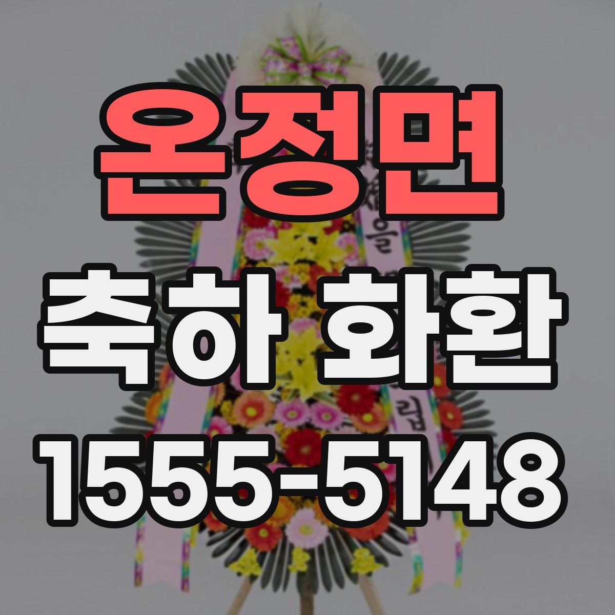 온정면 축하 화환