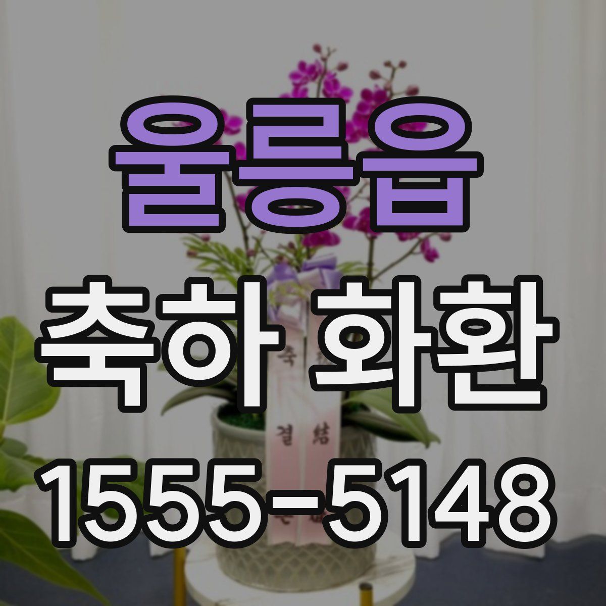 울릉읍 축하 화환