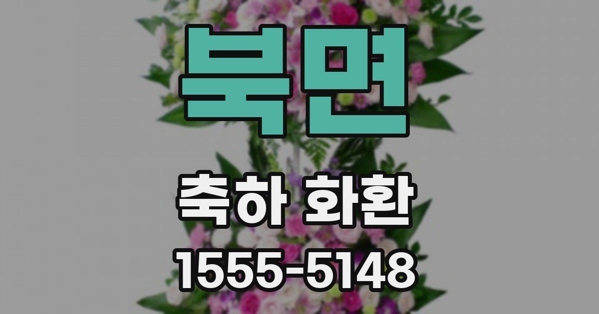 북면 축하 화환