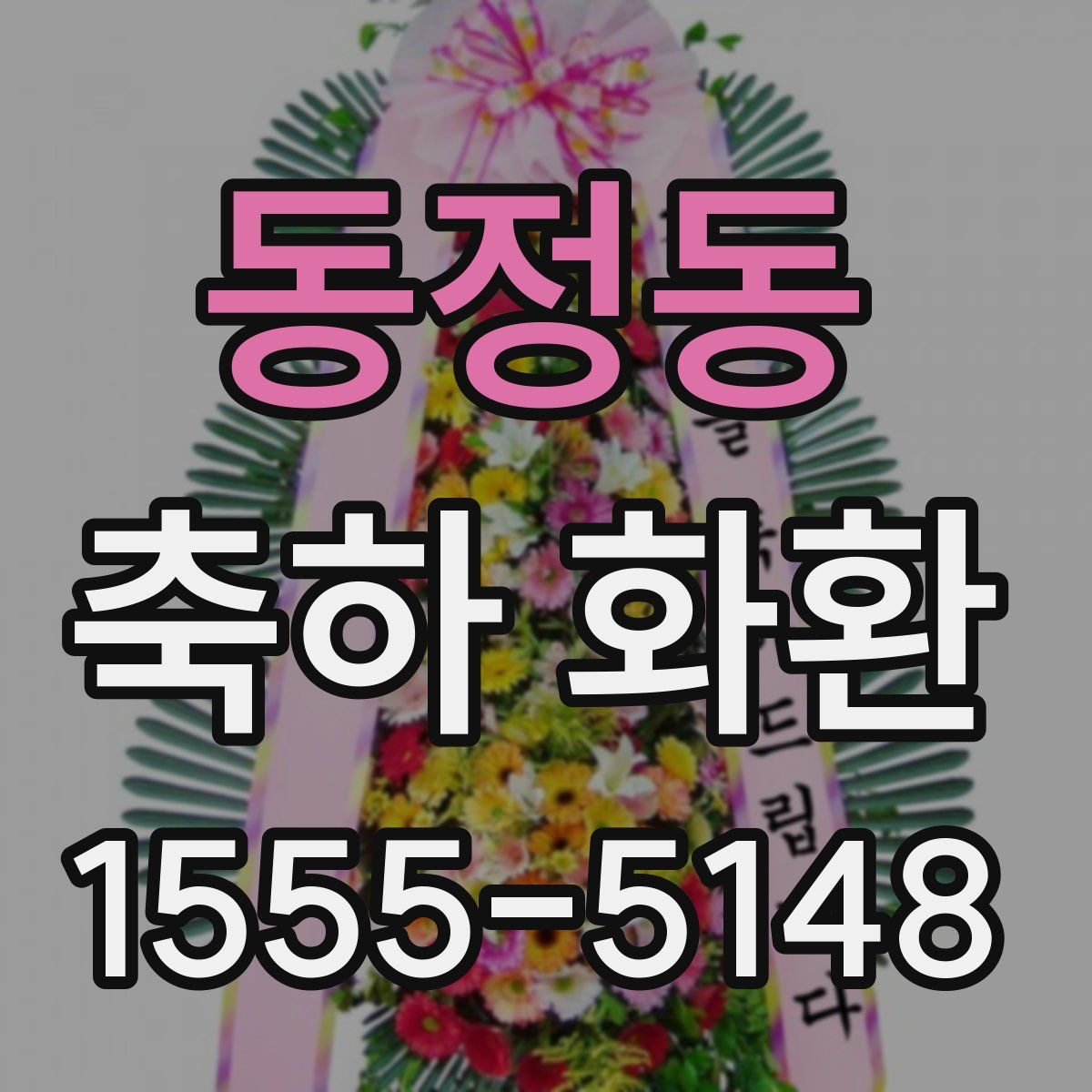 동정동 축하 화환