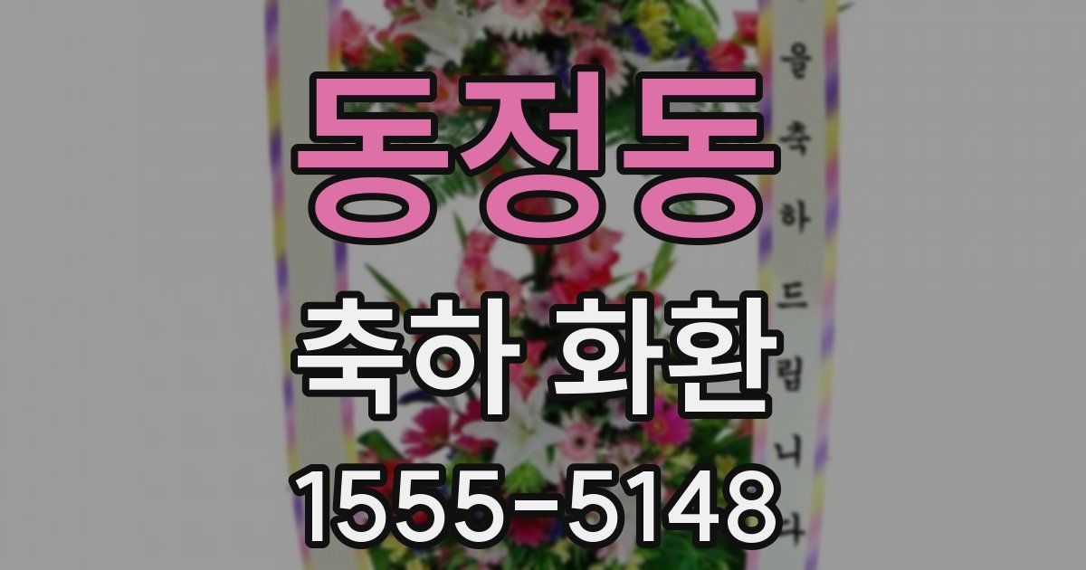동정동 축하 화환