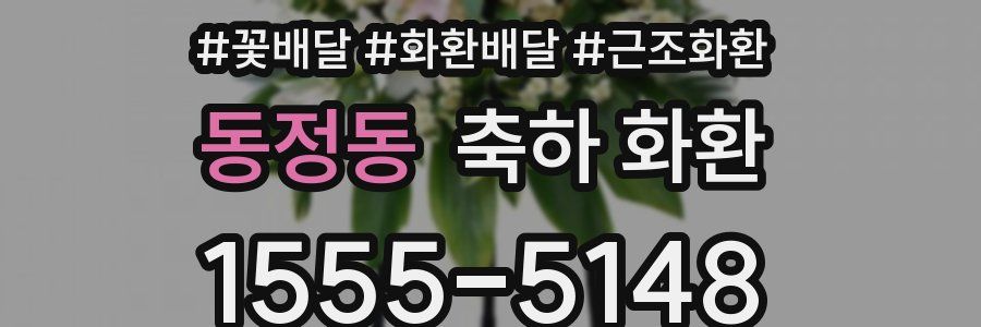동정동 축하 화환