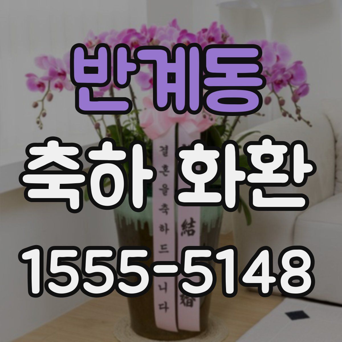 반계동 축하 화환